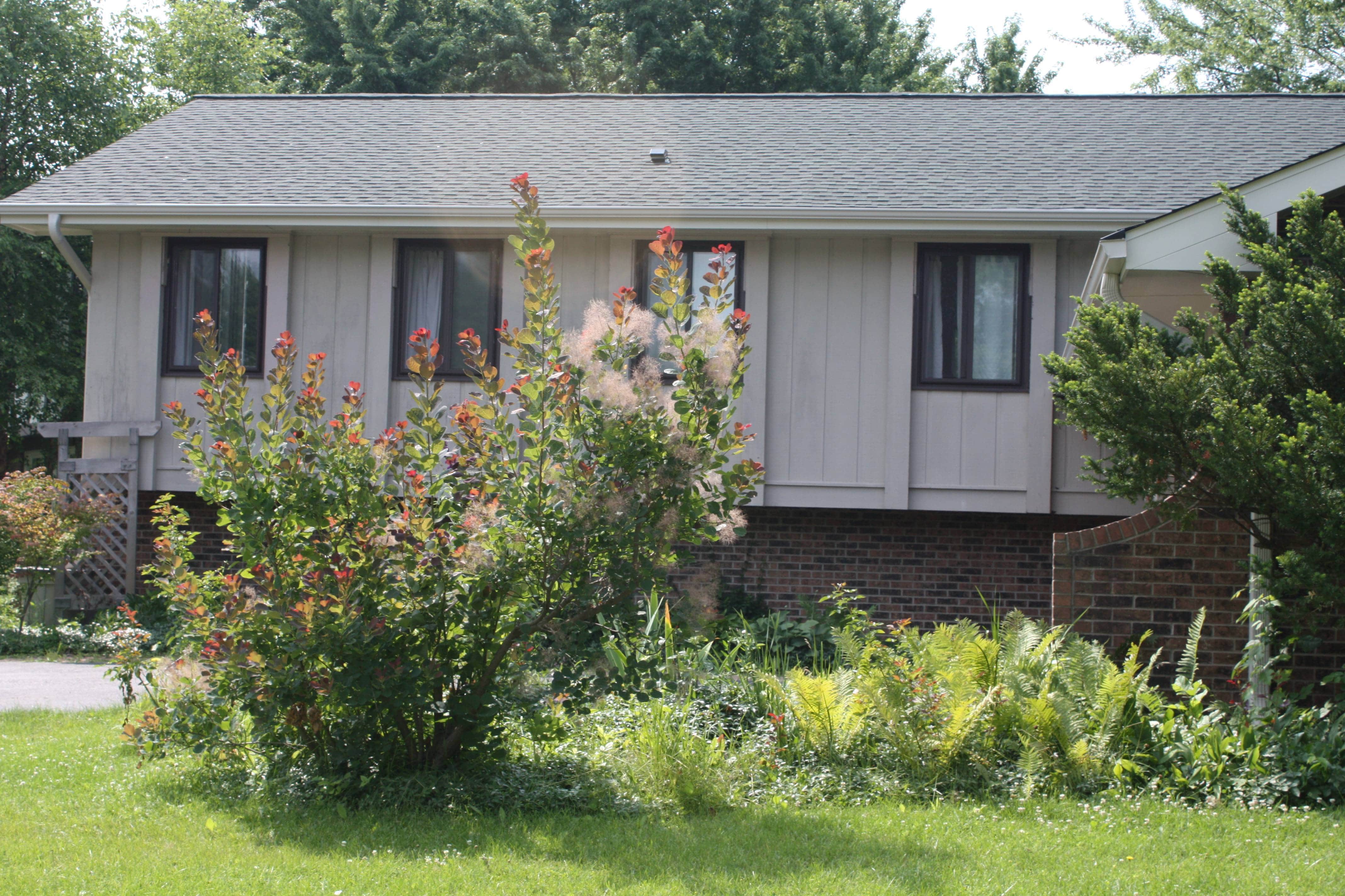 Alside Centerlock Monterey Sand Vinyl Siding With Hunter Green Gaf Roof Timberline Hd Shingles Hunter Green