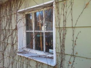 Old damaged windows