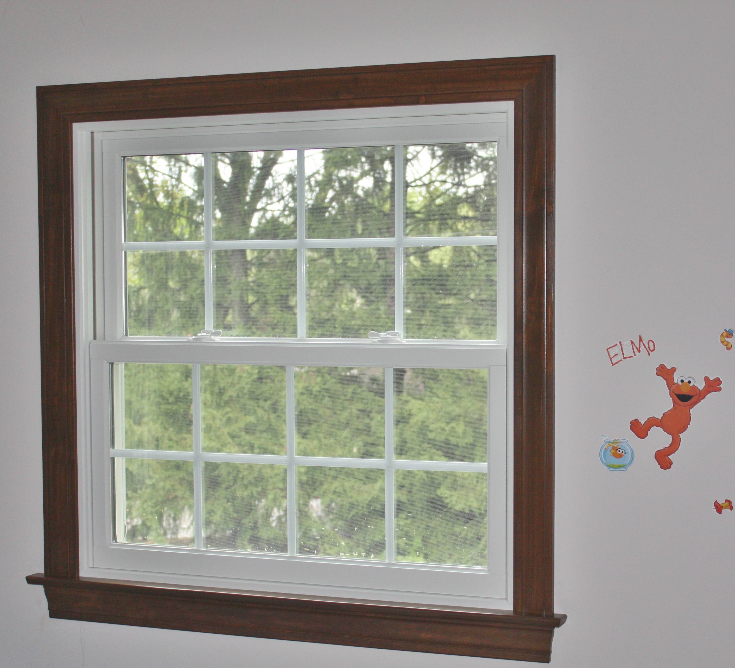 Andersen A Series & 100 Series Double Hung Windows in St Charles Opal