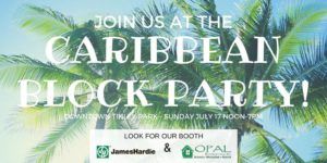 Caribbean Block Party in Tinley Park!