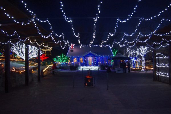 holiday lights house tours in chicago s western suburbs holiday lights house tours in chicago s western suburbs