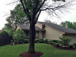 gaf-roof-vinyl-siding-homer-glen-rockbluff-1-250×188