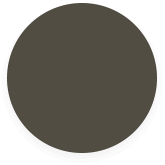 Cabin Brown