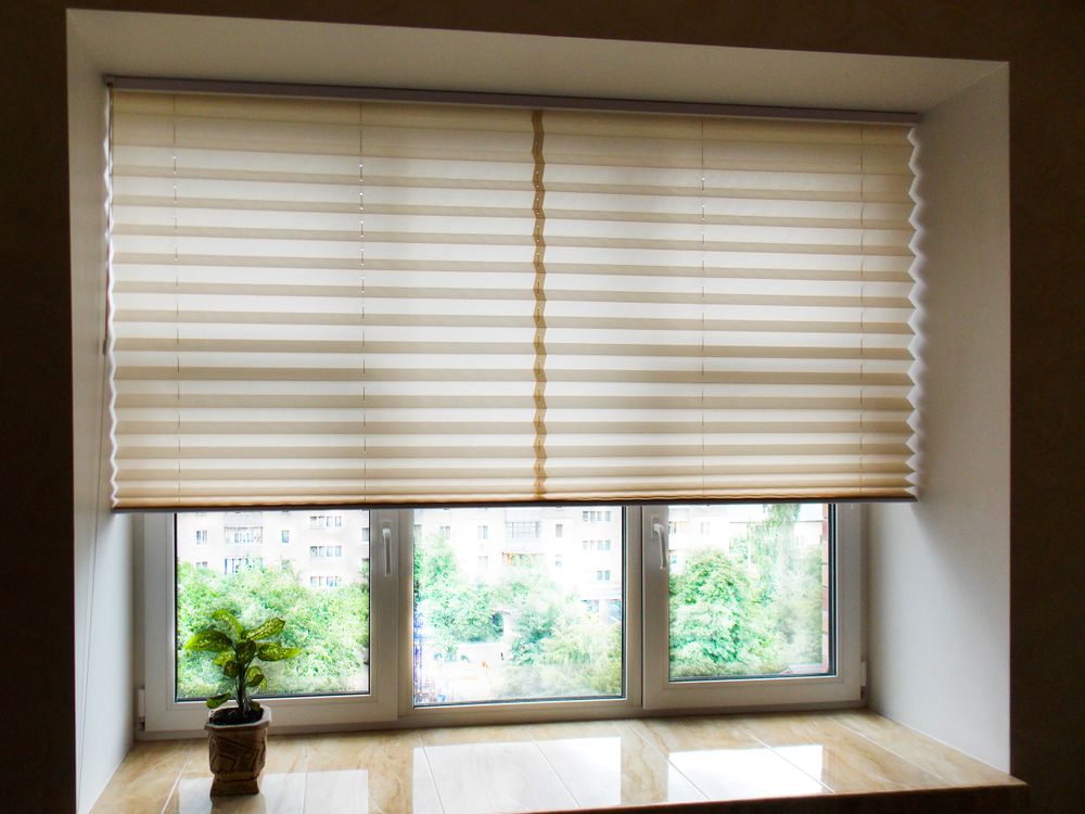 window with partially drawn blinds and potted plant