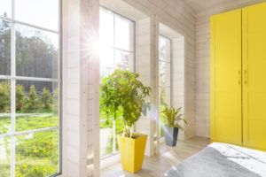 sunlight shining into room through large windows