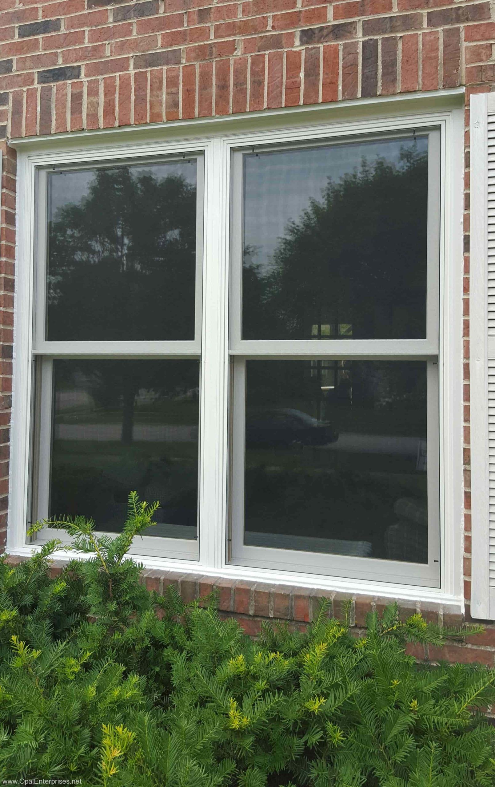 Beechworth Windows with white trim installed in Naperville #OpalCurbAppeal
