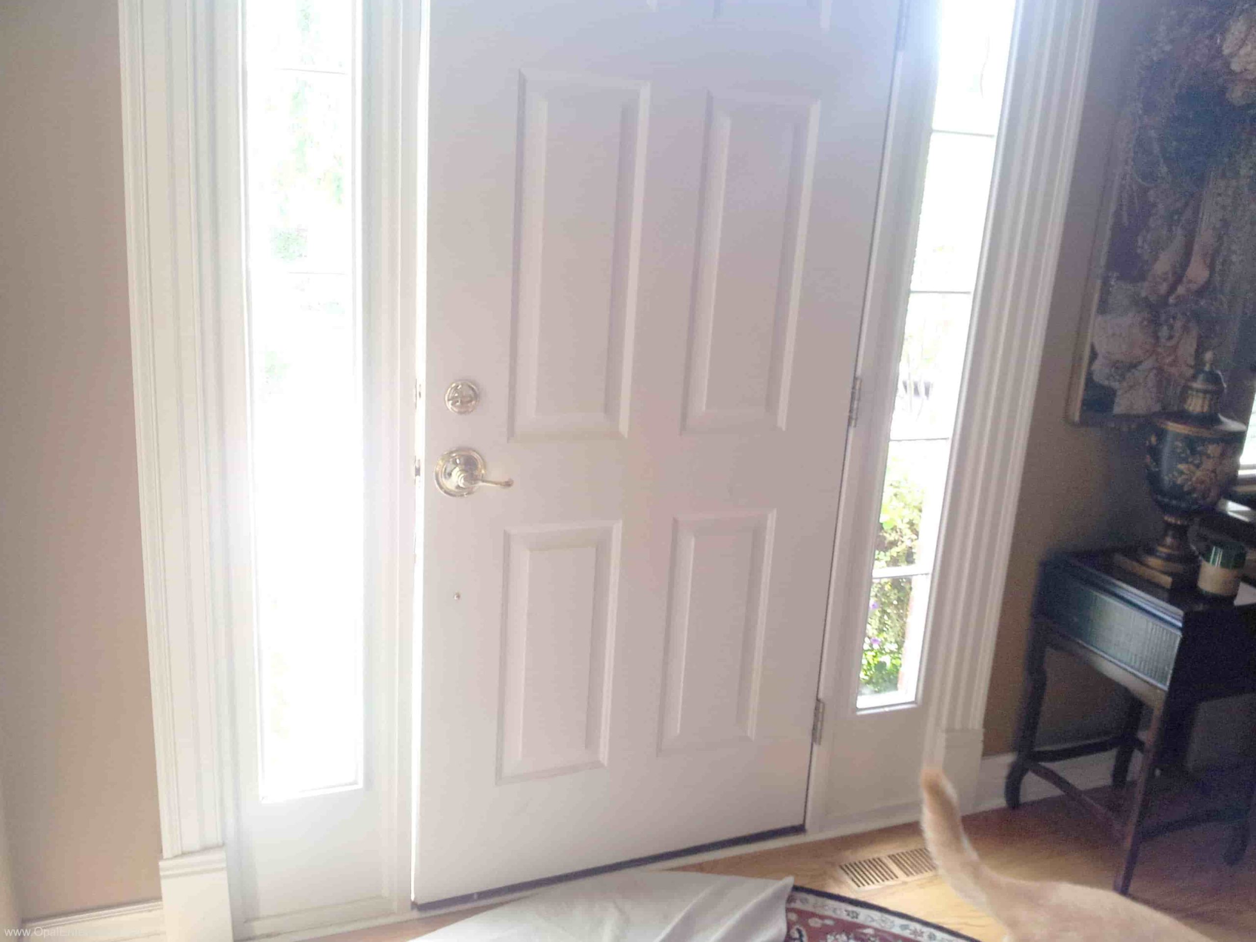 ProVia Heritage Door Interior in Snow Mist