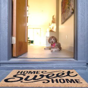 door threshold with dog and welcome mat