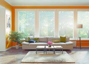 Choosing Provia Endure Windows for My Home