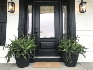 Black Front Door with Plants